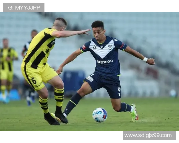 2017年西悉尼对阵惠灵顿精彩赛事回顾与分析