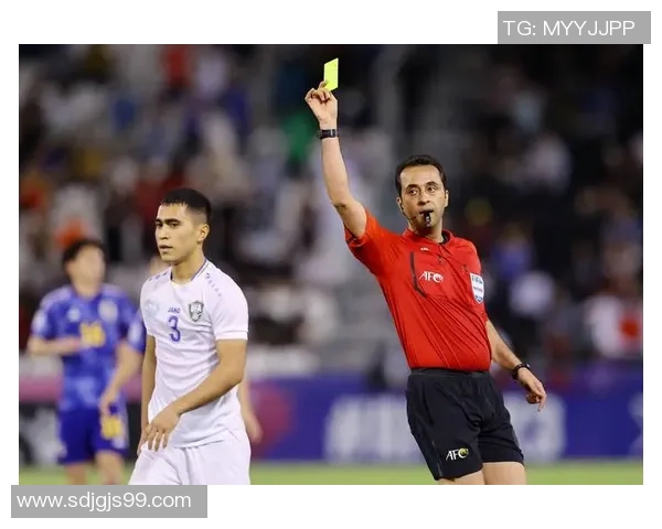 伊朗与日本裁判组的较量背后隐藏的故事与争议分析