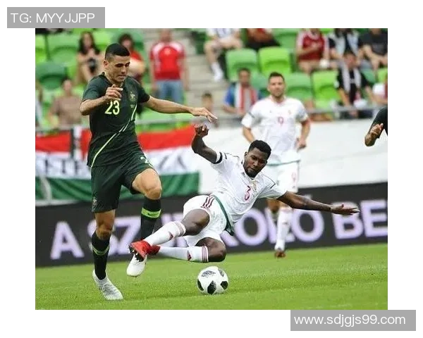 威尔士与匈牙利足球对决深度分析及战术解析