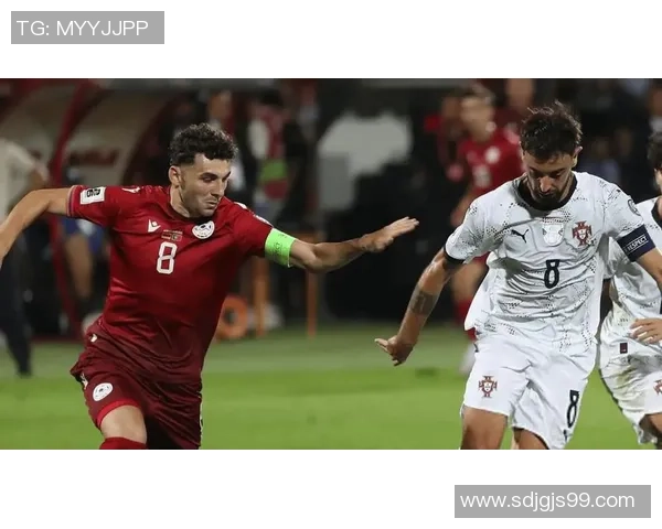 葡萄牙对阵新西兰精彩直播全程回顾与赛后分析