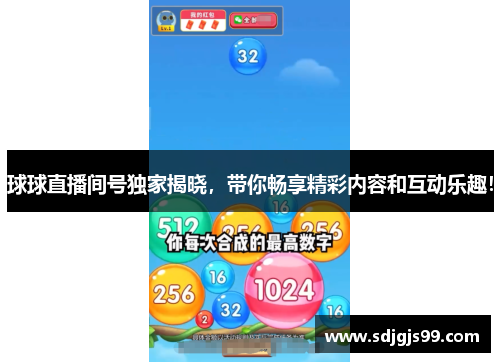 球球直播间号独家揭晓，带你畅享精彩内容和互动乐趣！