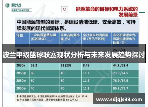 波兰甲级篮球联赛现状分析与未来发展趋势探讨