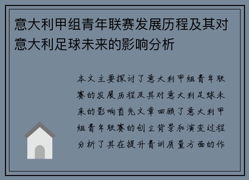 意大利甲组青年联赛发展历程及其对意大利足球未来的影响分析