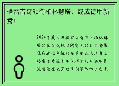 格雷吉奇领衔柏林赫塔，或成德甲新秀！