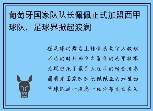 葡萄牙国家队队长佩佩正式加盟西甲球队，足球界掀起波澜